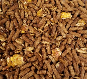 calf feed start heifer starters