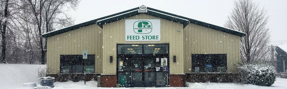 Snowy Store Front