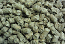 Visit Farmers Coop in Maryland Today for your Animal Feed!