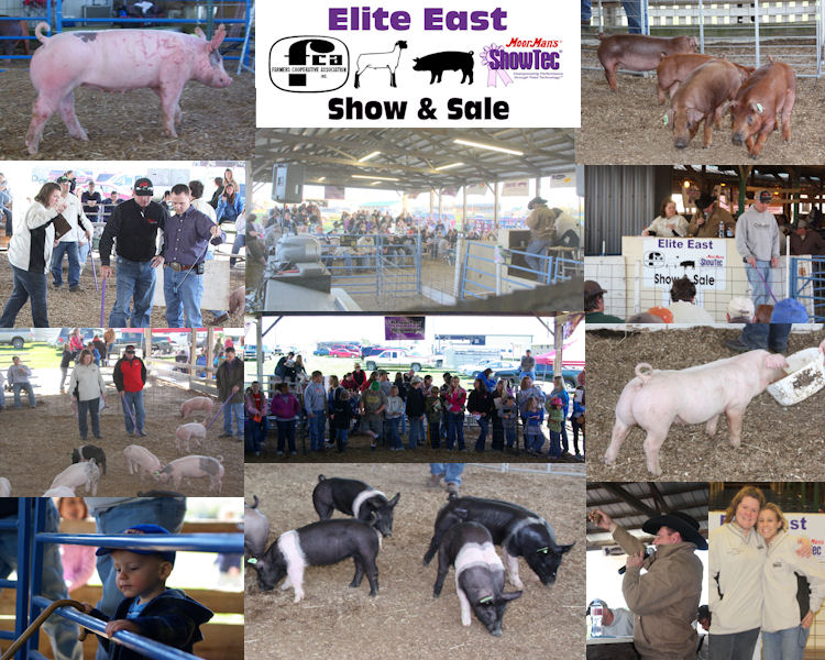 2010-Elite-Hogs