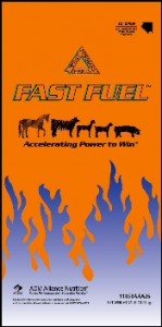 Fast Fuel Bag 175 pixels wide