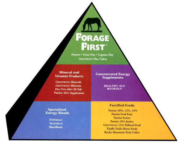ForageFirstPyramid