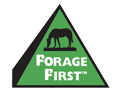 Forage First